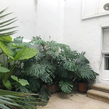 Mi Casa Vintage *
