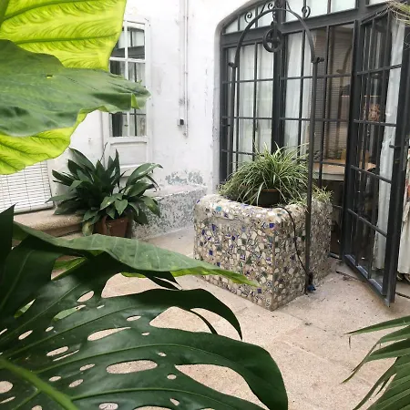 Tukasa Vintage Caces